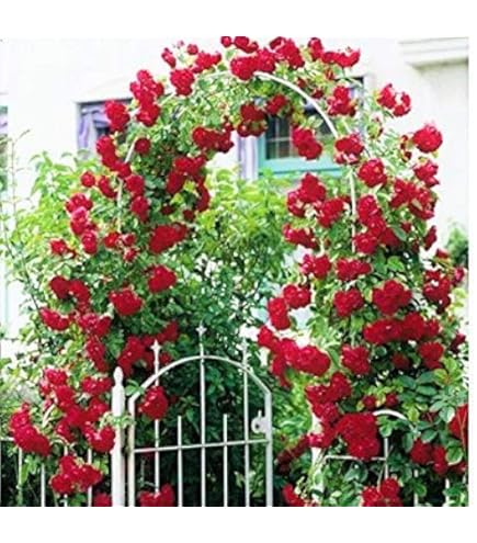 パープルローズ Nissan Fairlady Z (Z32) RHD (Right Hand Drive) Midnight